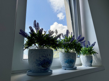Apartmán Lavender