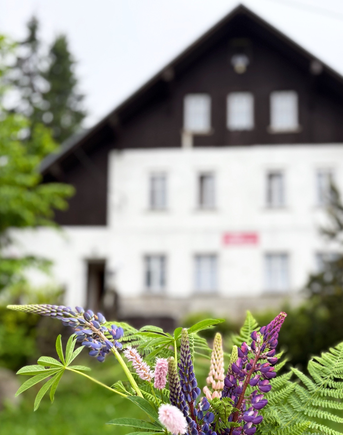 d2d14493-8a3c-4de1-987e-ed592ff822bf